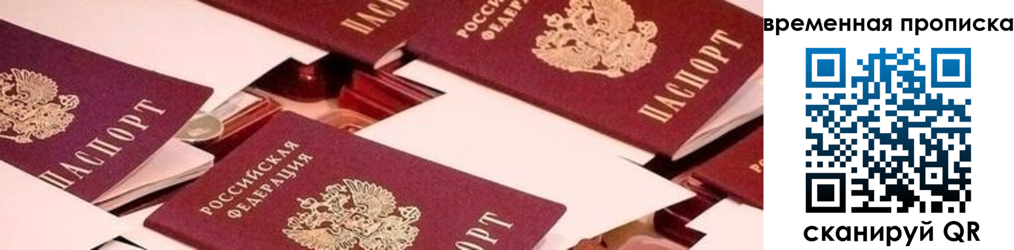 временная регистрация гарантия в Сольцах